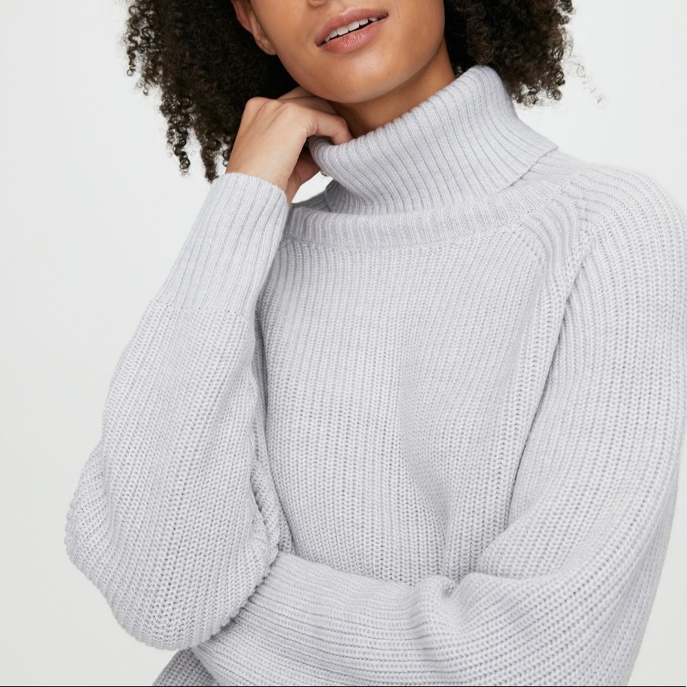 Aritzia Wilfred Free Sweater XS
